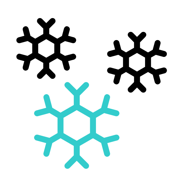 snowflake icon
